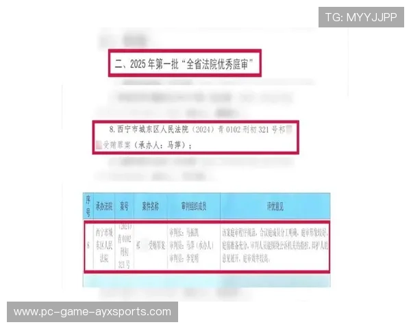 裁判判罚公开复盘机制增强执法透明度与信任度，裁判文书公开问题
